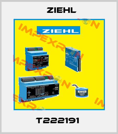 T222191  Ziehl