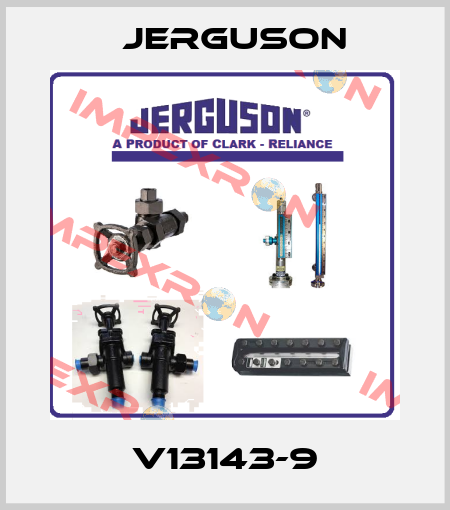 V13143-9 Jerguson