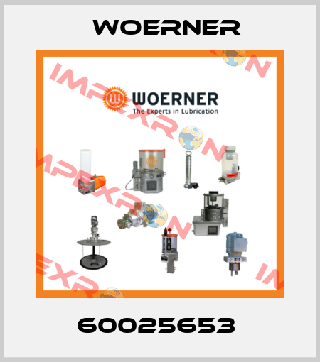 60025653  Woerner