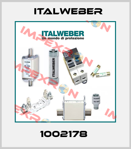 1002178  Italweber