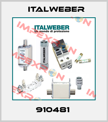 910481  Italweber