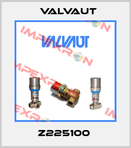 Z225100  Valvaut
