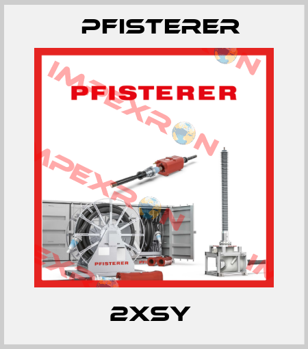2XSY  Pfisterer