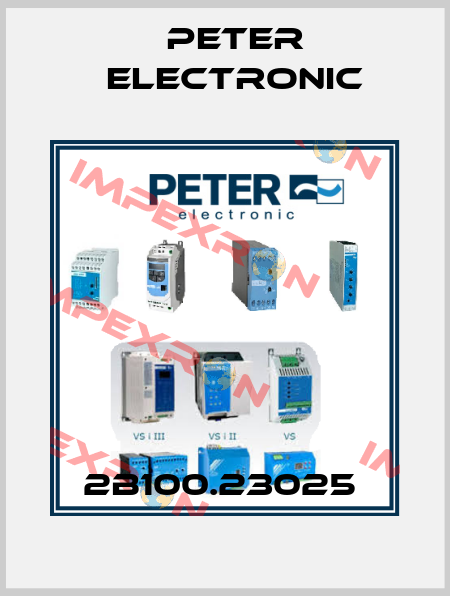 2B100.23025  Peter Electronic