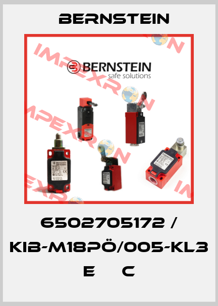 6502705172 / KIB-M18PÖ/005-KL3      E     C Bernstein
