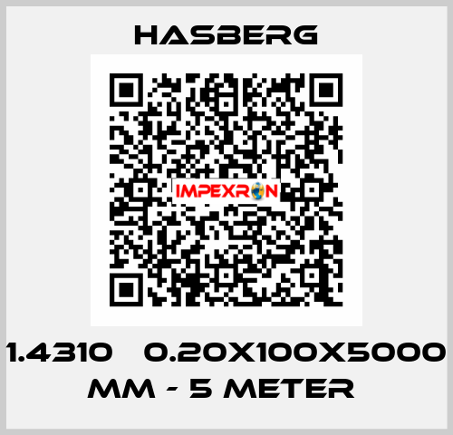 1.4310   0.20X100X5000 MM - 5 METER  Hasberg
