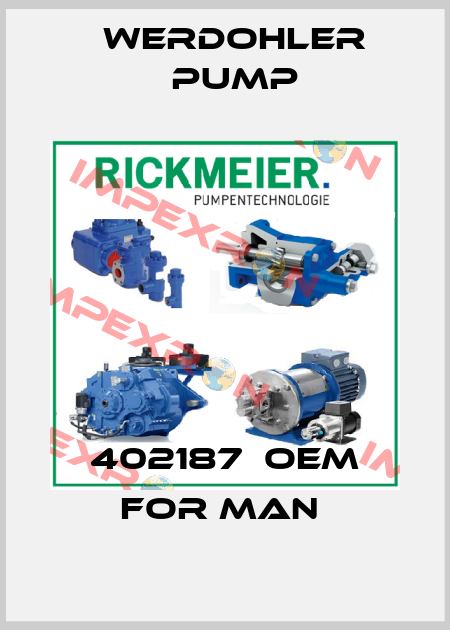 402187  OEM for MAN  Werdohler Pump