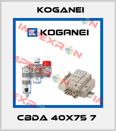 CBDA 40X75 7  Koganei