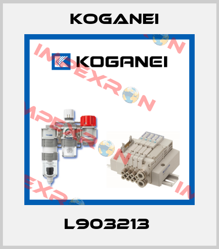 L903213  Koganei