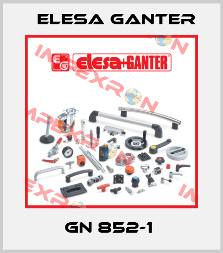 GN 852-1  Elesa Ganter