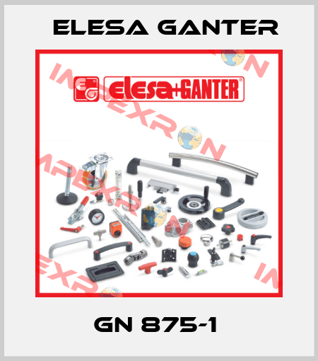 GN 875-1  Elesa Ganter
