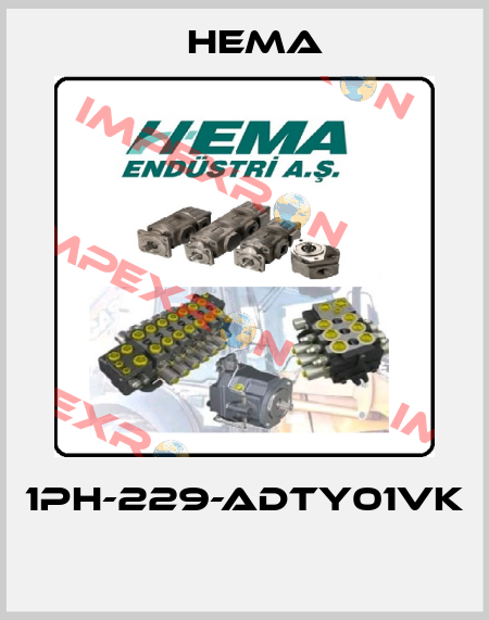1PH-229-ADTY01VK  Hema