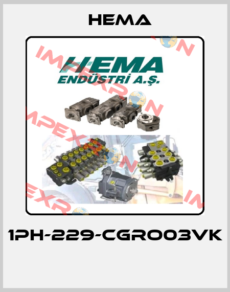 1PH-229-CGRO03VK  Hema