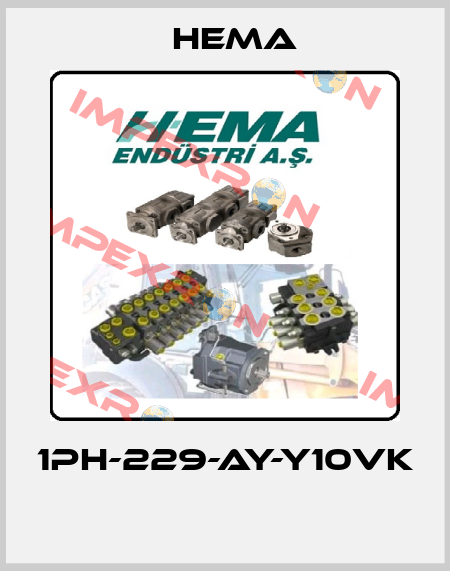1PH-229-AY-Y10VK  Hema