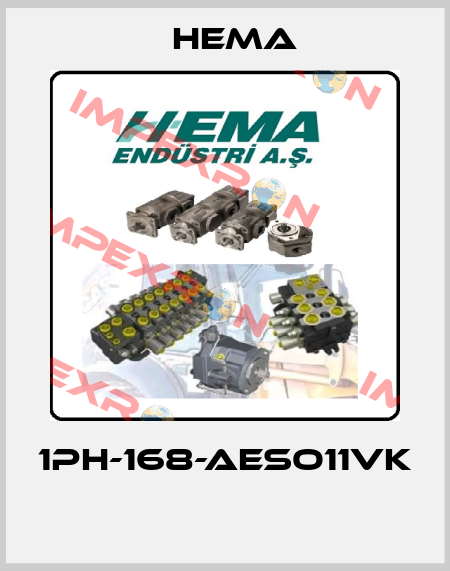 1PH-168-AESO11VK  Hema