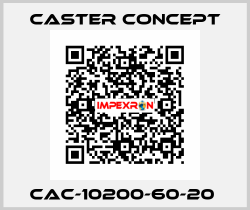 CAC-10200-60-20  CASTER CONCEPT