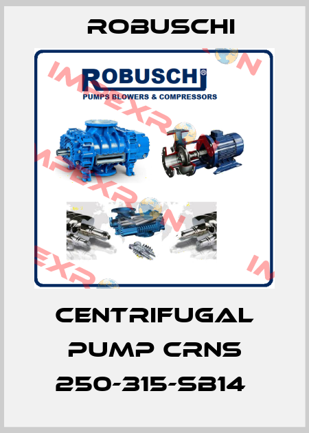 CENTRIFUGAL PUMP CRNS 250-315-SB14  Robuschi