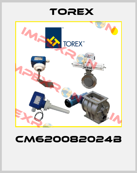CM620082024B  Torex