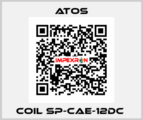 Coil SP-CAE-12DC  Atos