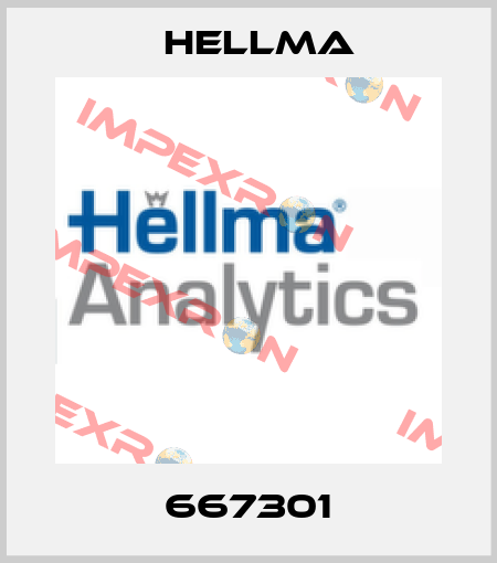 667301 Hellma