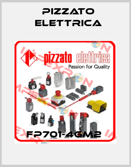 FP701-4GM2  Pizzato Elettrica