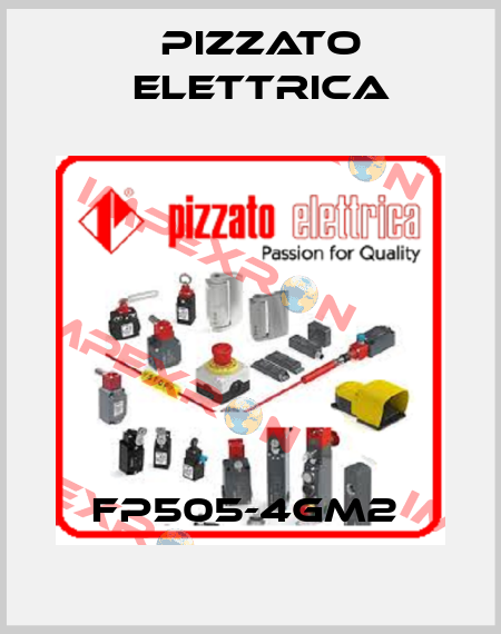FP505-4GM2  Pizzato Elettrica