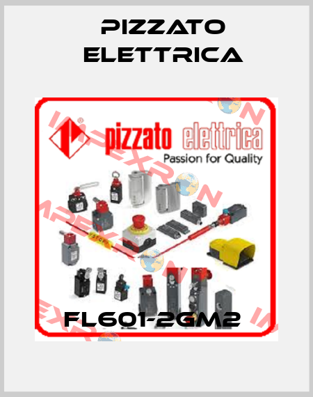 FL601-2GM2  Pizzato Elettrica