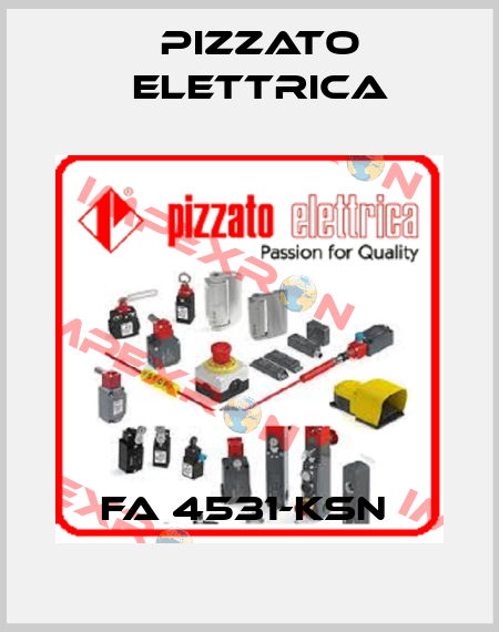 FA 4531-KSN  Pizzato Elettrica