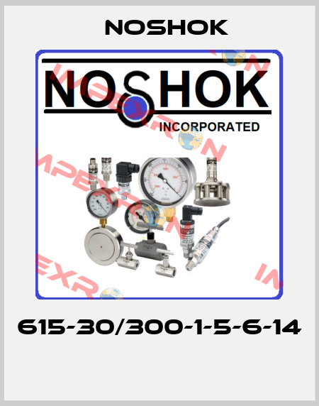 615-30/300-1-5-6-14  Noshok