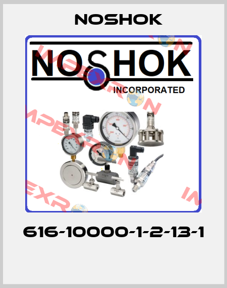 616-10000-1-2-13-1  Noshok
