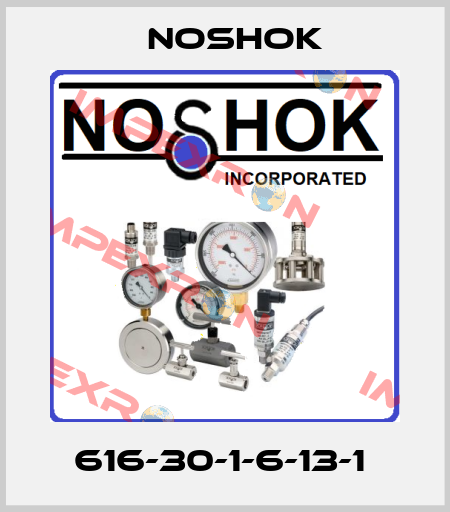 616-30-1-6-13-1  Noshok
