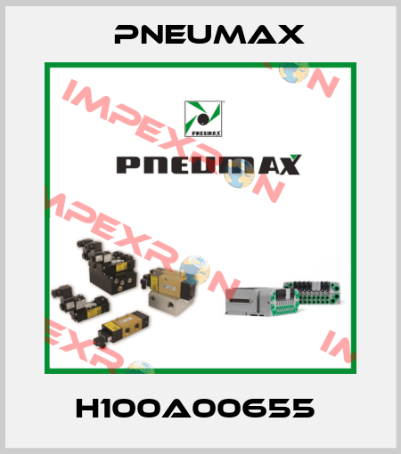 H100A00655  Pneumax
