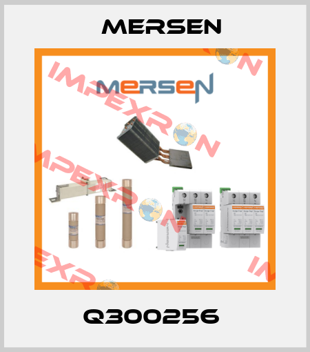 Q300256  Mersen