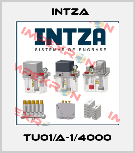 TU01/A-1/4000 Intza