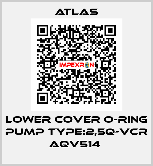 LOWER COVER O-RING PUMP TYPE:2,5Q-VCR AQV514  Atlas