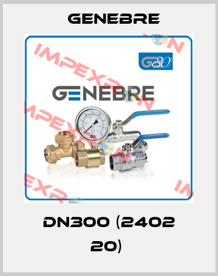 DN300 (2402 20)  Genebre