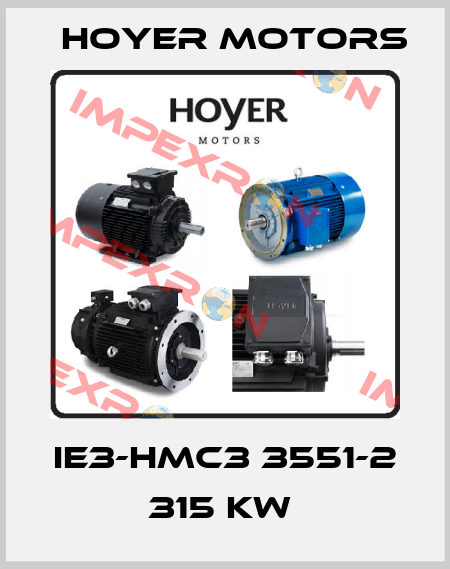 IE3-HMC3 3551-2 315 kW  Hoyer Motors