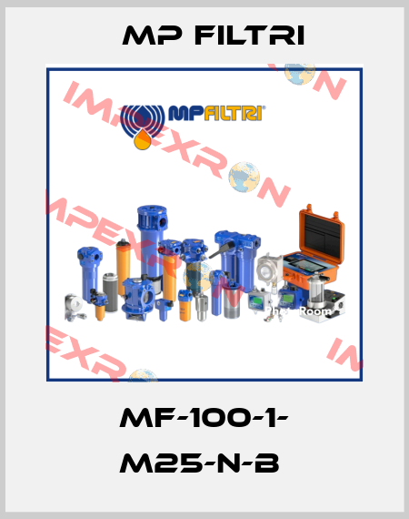 MF-100-1- M25-N-B  MP Filtri