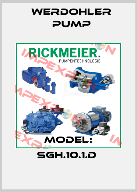 MODEL: SGH.10.1.D  Werdohler Pump