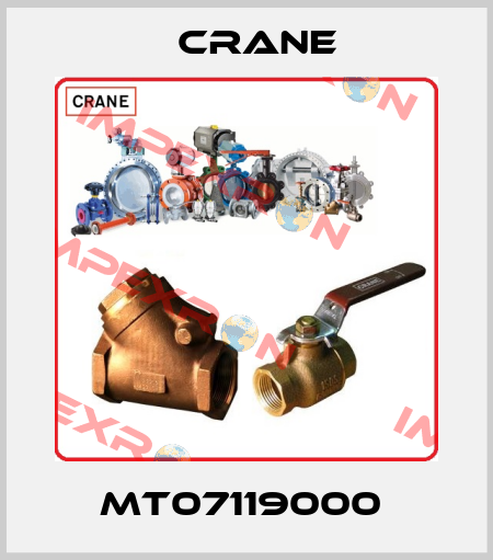 MT07119000  Crane
