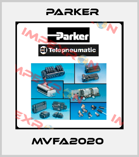 MVFA2020  Parker