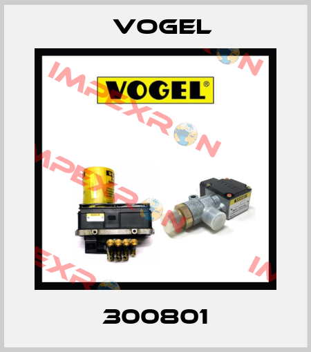 300801 Vogel