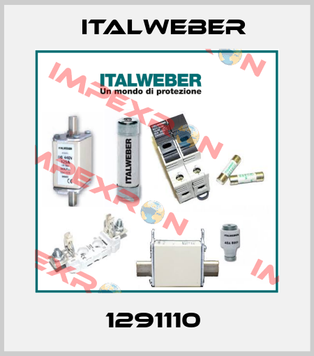 1291110  Italweber