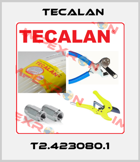 T2.423080.1 Tecalan