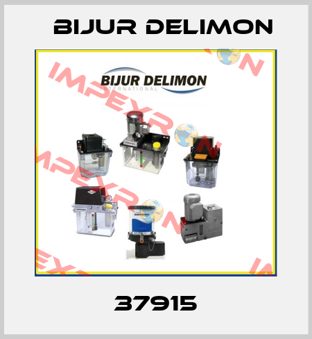37915 Bijur Delimon