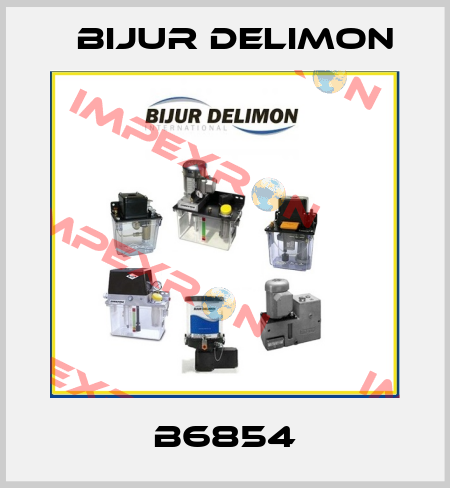 B6854 Bijur Delimon