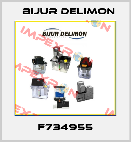 F734955 Bijur Delimon