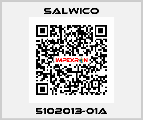 5102013-01A Salwico