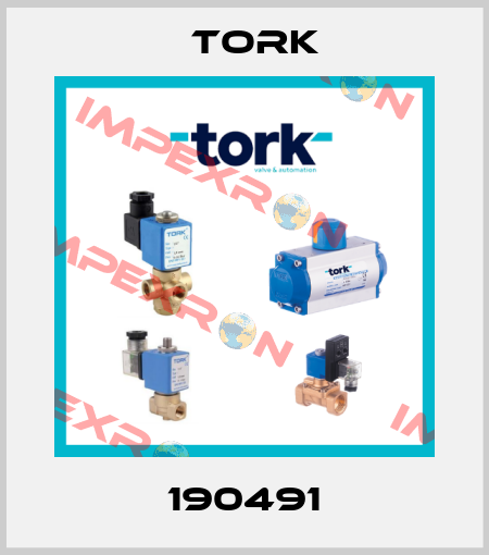 190491 Tork