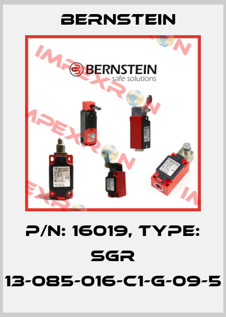 P/N: 16019, Type: SGR 13-085-016-C1-G-09-5 Bernstein